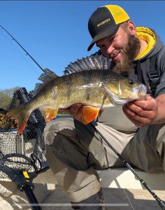 angler barsch perch wasser water