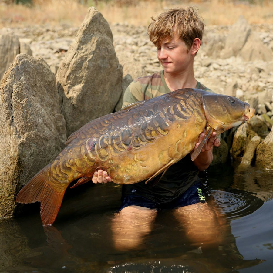 Advancer Carp – SPORTEX Magazin :: Der Maßstab im Rutenbau