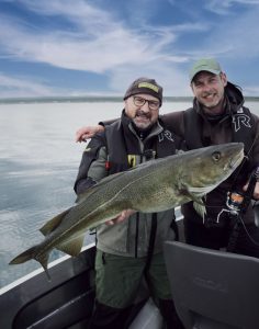 angler dorsch wasser water