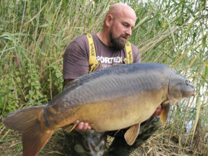 angler karpfen carp wasser water