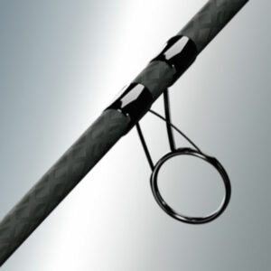 sportex paragon startring guide