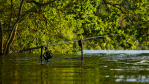 angelrute wasser rod water