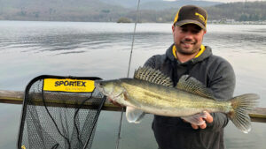 angler zander wasser water