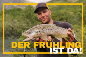 angler forelle trout