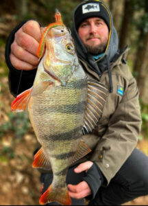 angler barsch perch wasser water