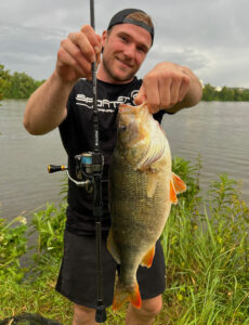 angler barsch perch wasser water