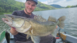 angler zander wasser water