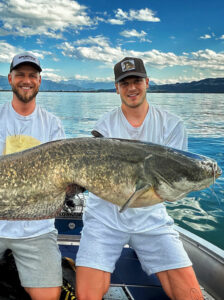 angler waller wels catfish wasser water