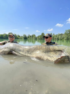angler waller wels catfish wasser water