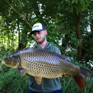 angler karpfen carp
