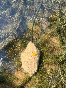 futterköder wasser water