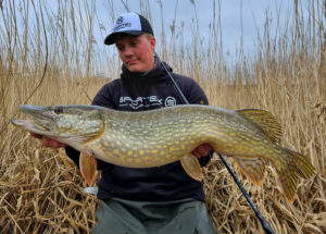 angler hecht pike wasser water