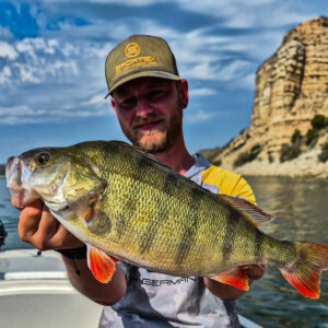 angler barsch perch wasser water