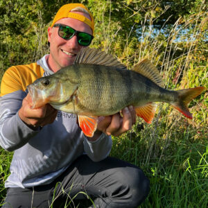 angler barsch perch wasser water