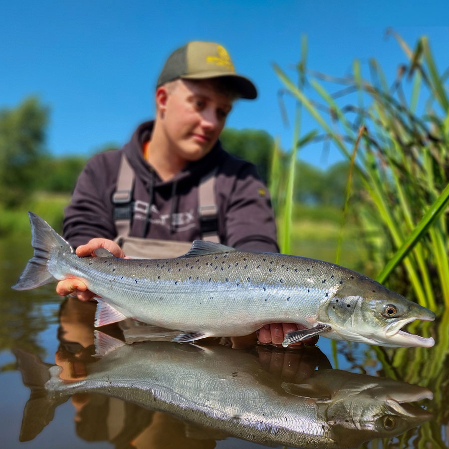 Angler mit Fisch im Wasser