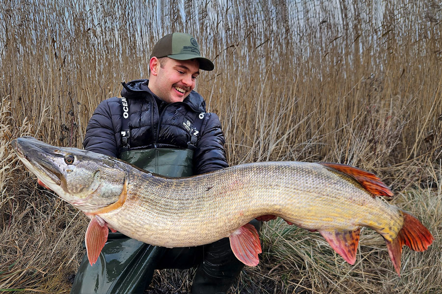 Angler mit Hecht