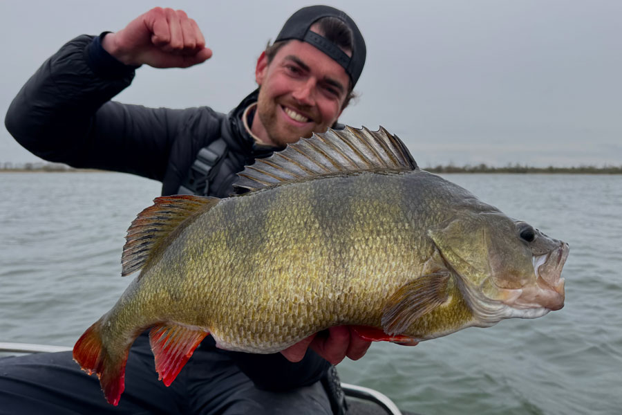 Angler mit Barsch