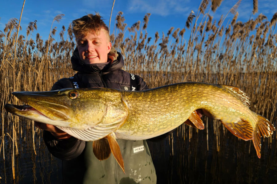 Angler mit Hecht