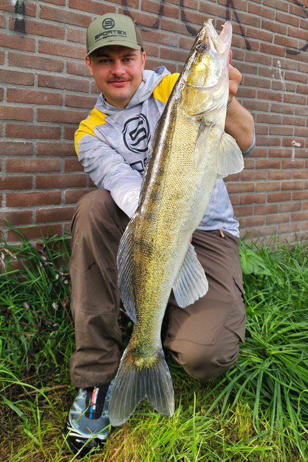 Angler mit Zander